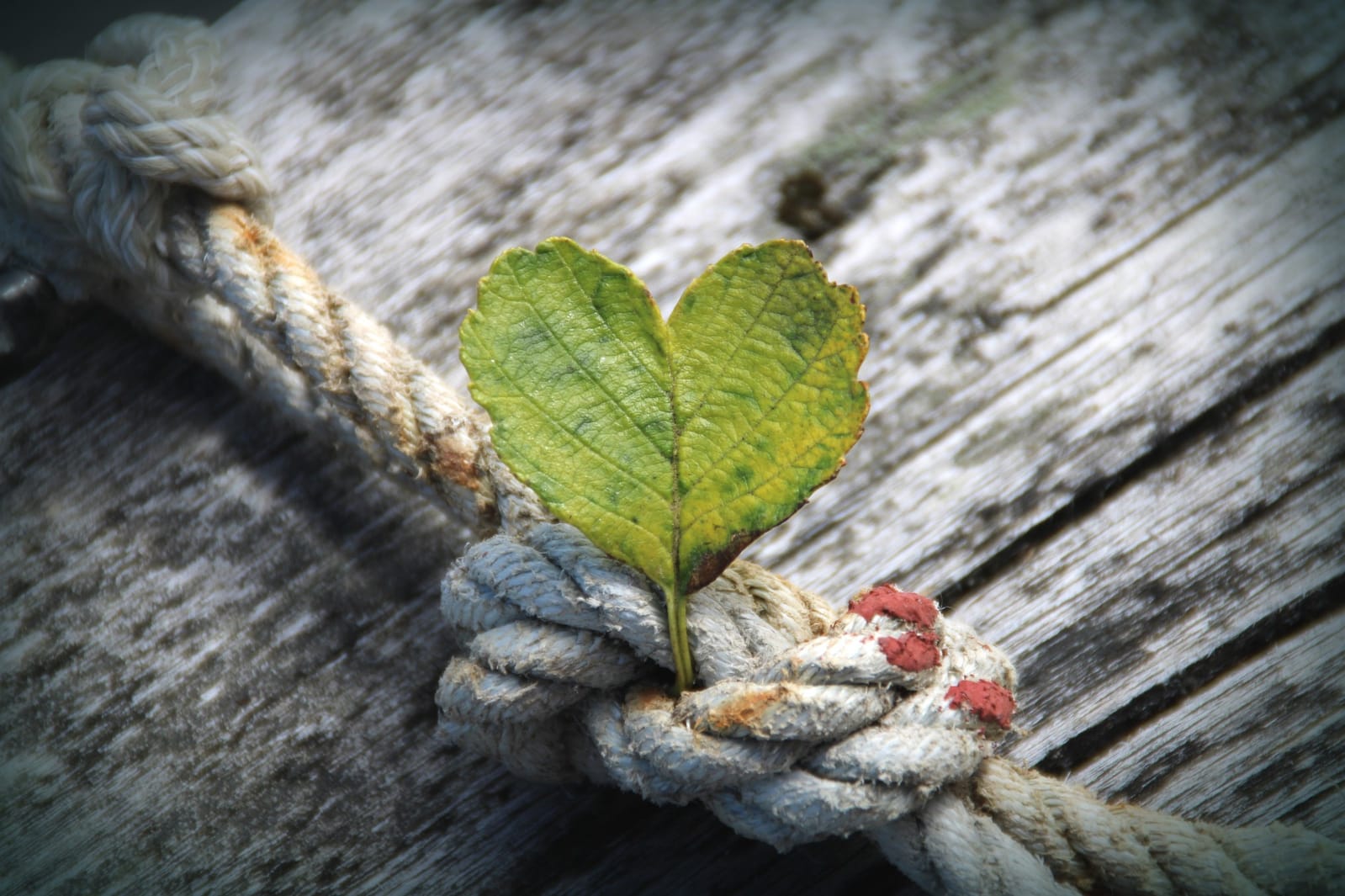 "IN VIAGGIO VERSO L'AMORE"
